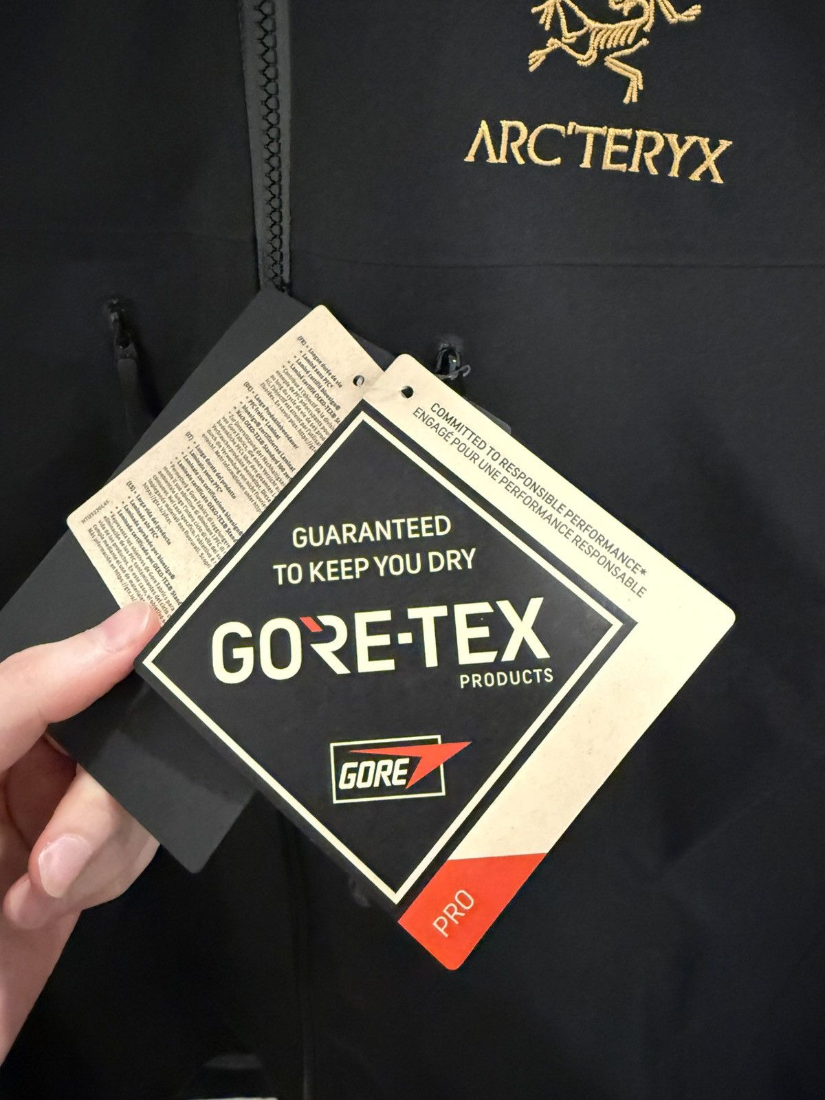 Arc'teryx BNWT Arc’teryx Alpha SV Jacket Size US L / EU 52-54 / 3 - 7 Thumbnail
