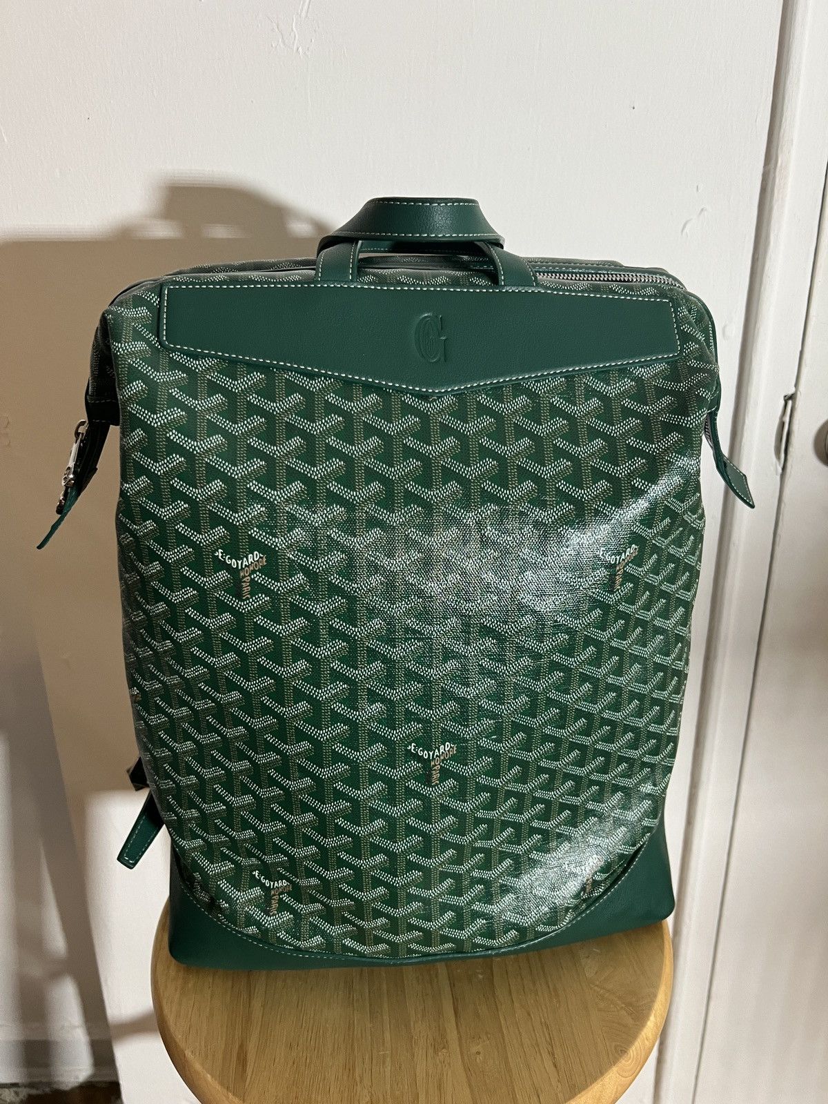image of Goyard Green Cisalpin Backpack, Men's