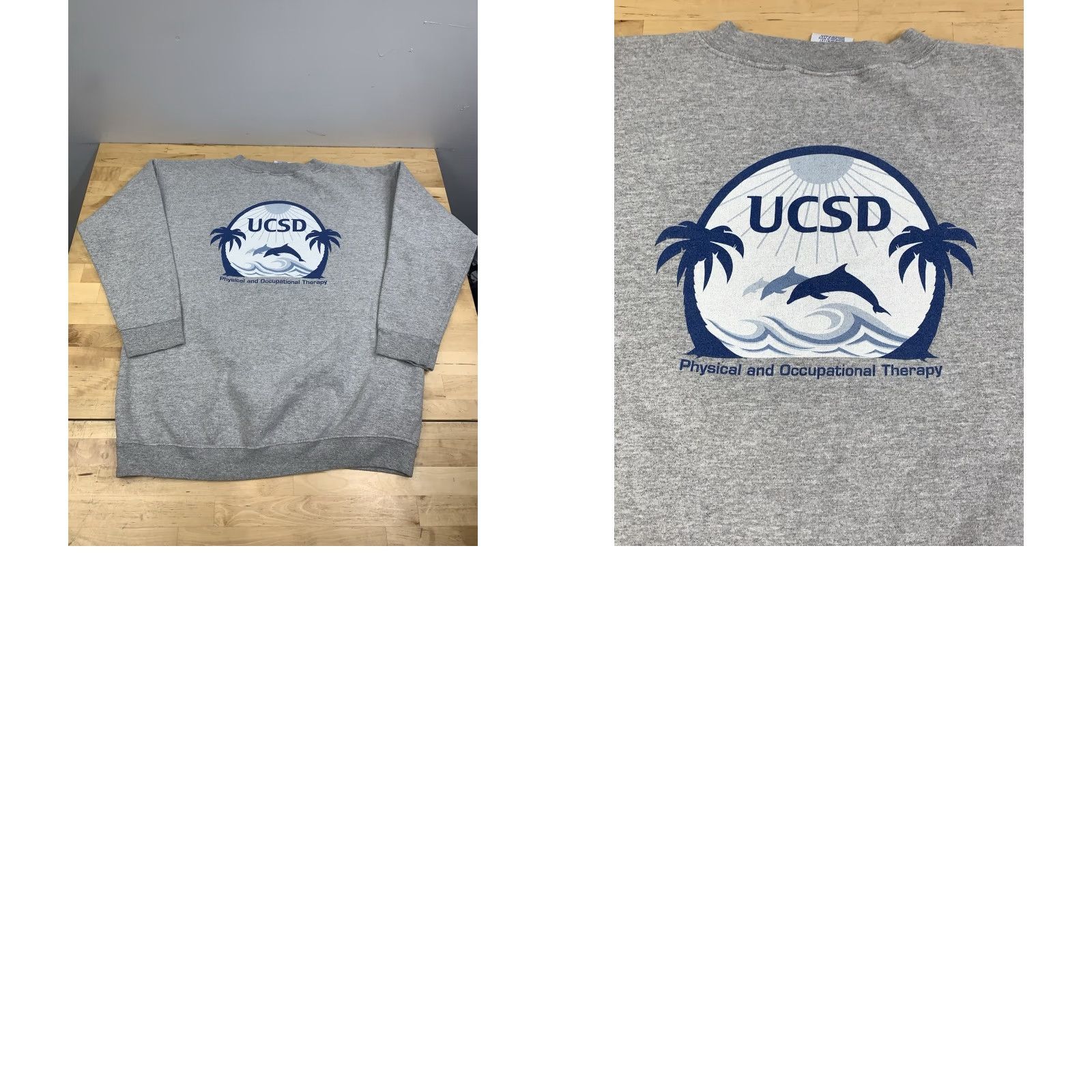 AAA VINTAGE UCSD Healthcare Rehabilitaion Services Sweatshirt Adult M Gray 12495 Size US M / EU 48-50 / 2 - 8 Thumbnail