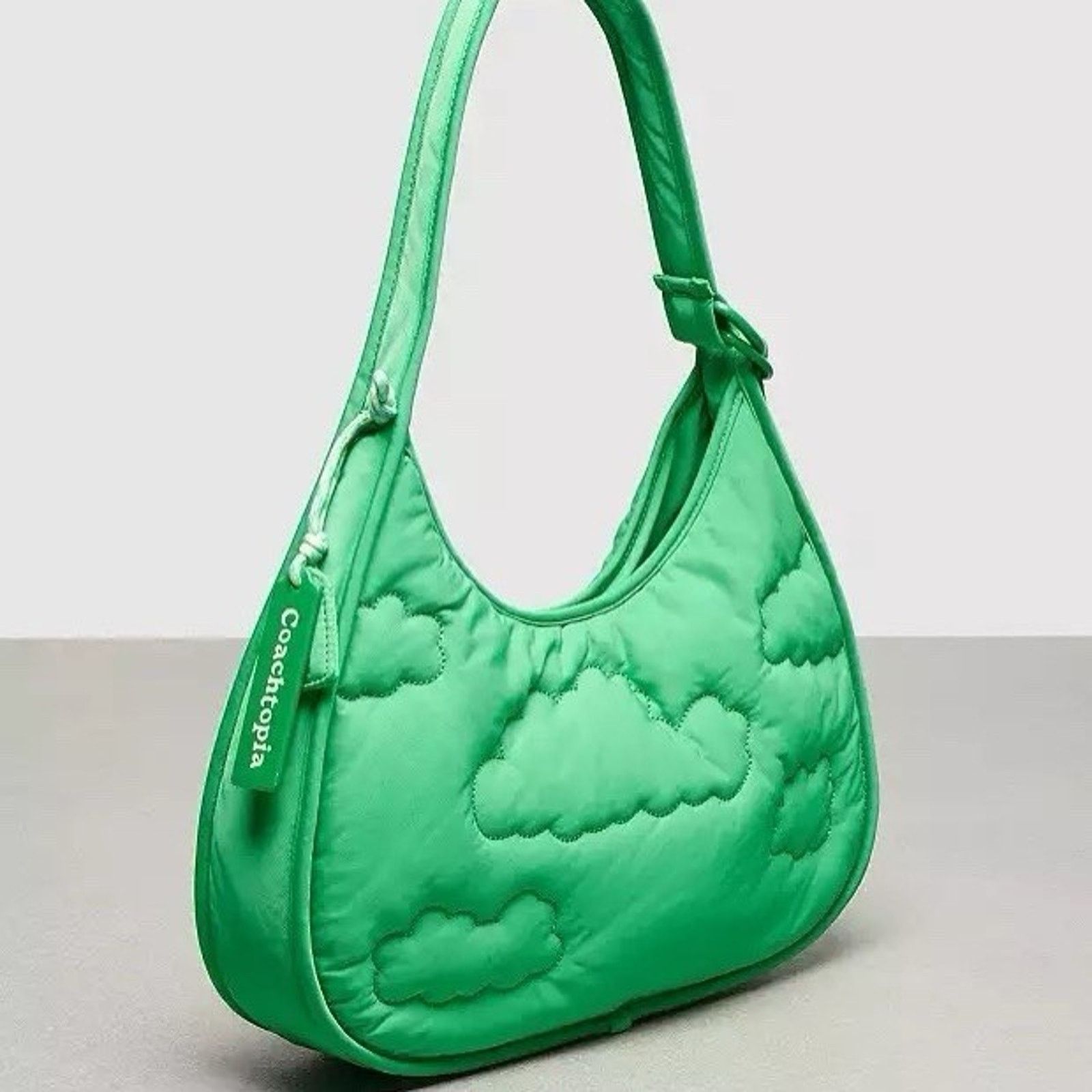 Coach NWT Coach CV875 Coachtopia Loop Ergo Bag Cloud Kelp Purse Size ONE SIZE - 9 Thumbnail