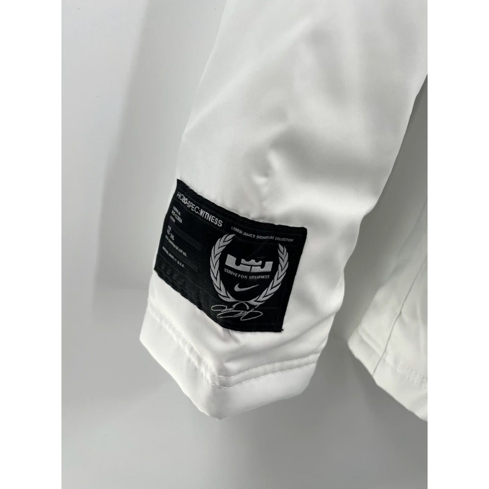 Nike Nike Basketball Jacket Mens Small White CK6771-121 Protect Therma Water Resistant Full Zip Hooded Pockets Wind-Resistant Moisture Wicking Size US S / EU 44-46 / 1 - 7 Thumbnail