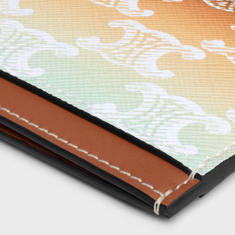 Celine o1bcso1str0126 10B702GE2 Size: OS / Card Holder Multicolor Size ONE SIZE - 4 Thumbnail