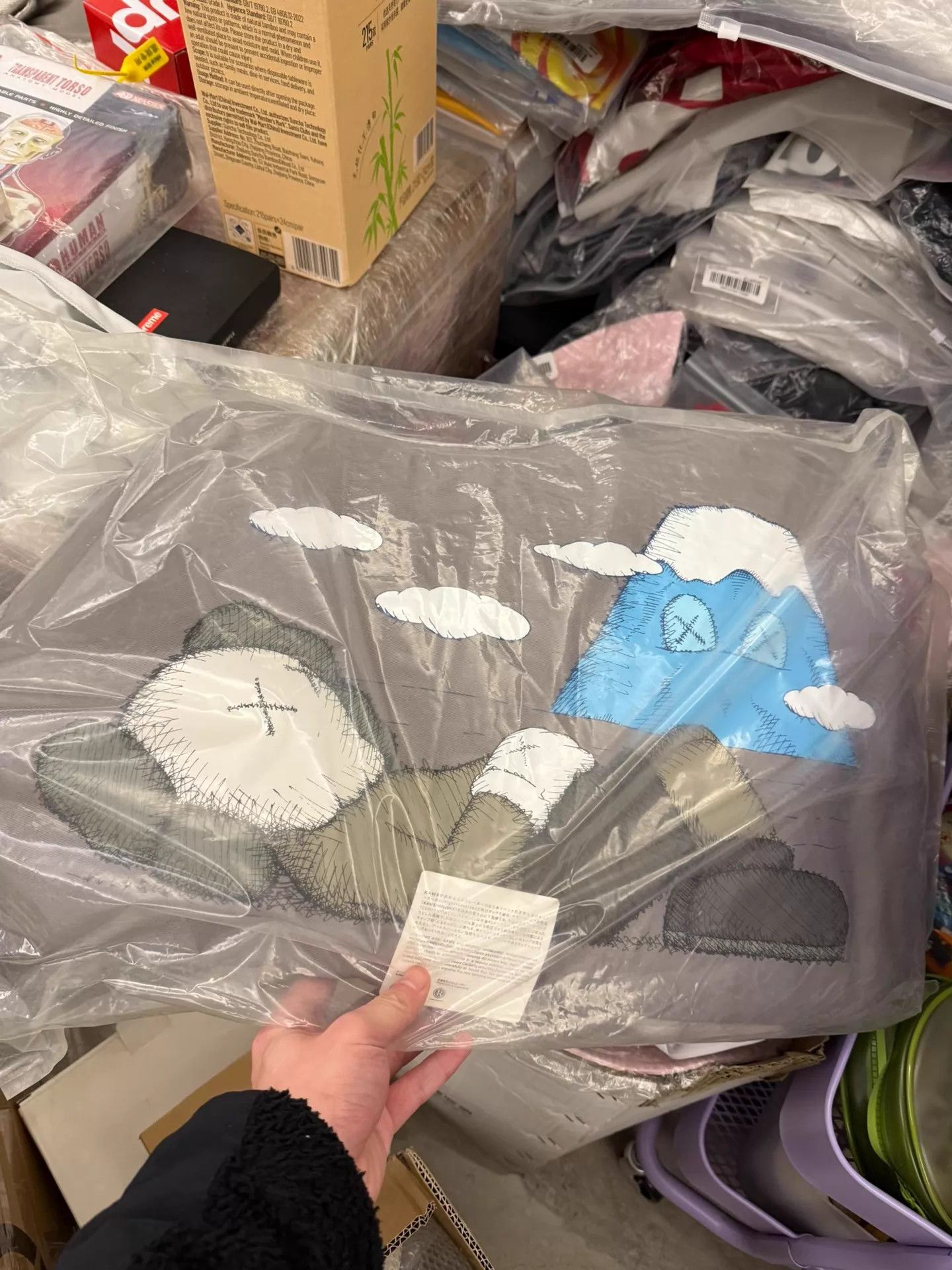Kaws KAWS HOLIDAY JAPAN Fuji Limited Pillow 75x45cm Size ONE SIZE - 1 Thumbnail