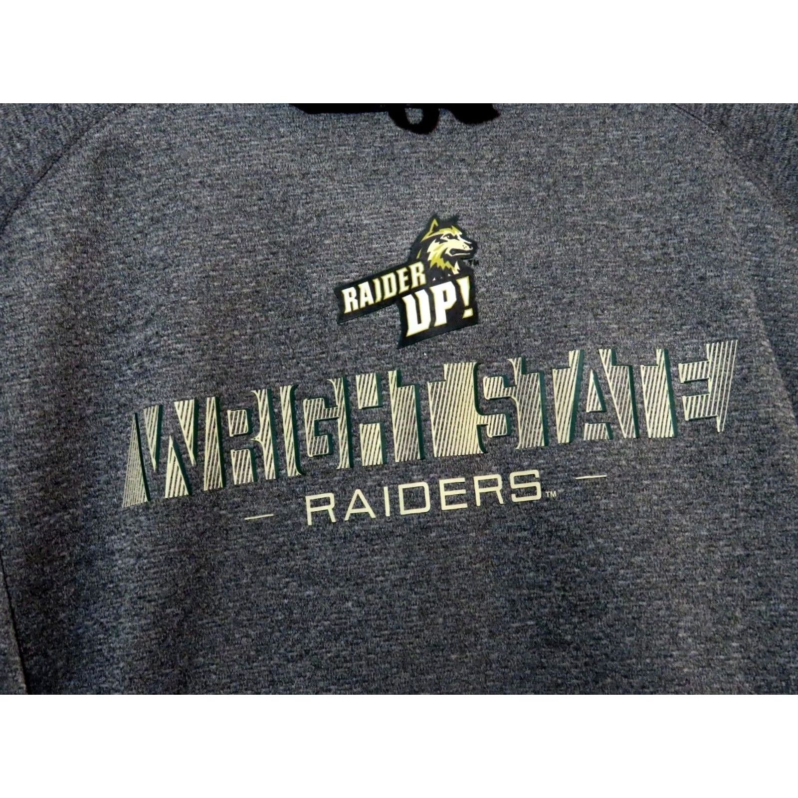 Champion Champion Hoodie Mens S Wright State Raiders Gray Pullover Hooded Sweatshirt Regular Fit College Winter Size US S / EU 44-46 / 1 - 4 Thumbnail