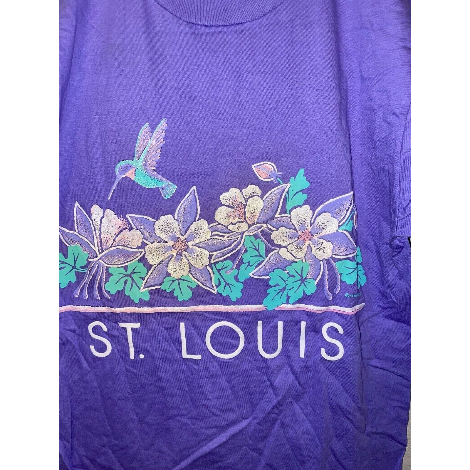 Jerzees Vintage St. Louis Shirt Tee Tennesee Smoky VTG M 90s Size US M / EU 48-50 / 2 - 2 Thumbnail