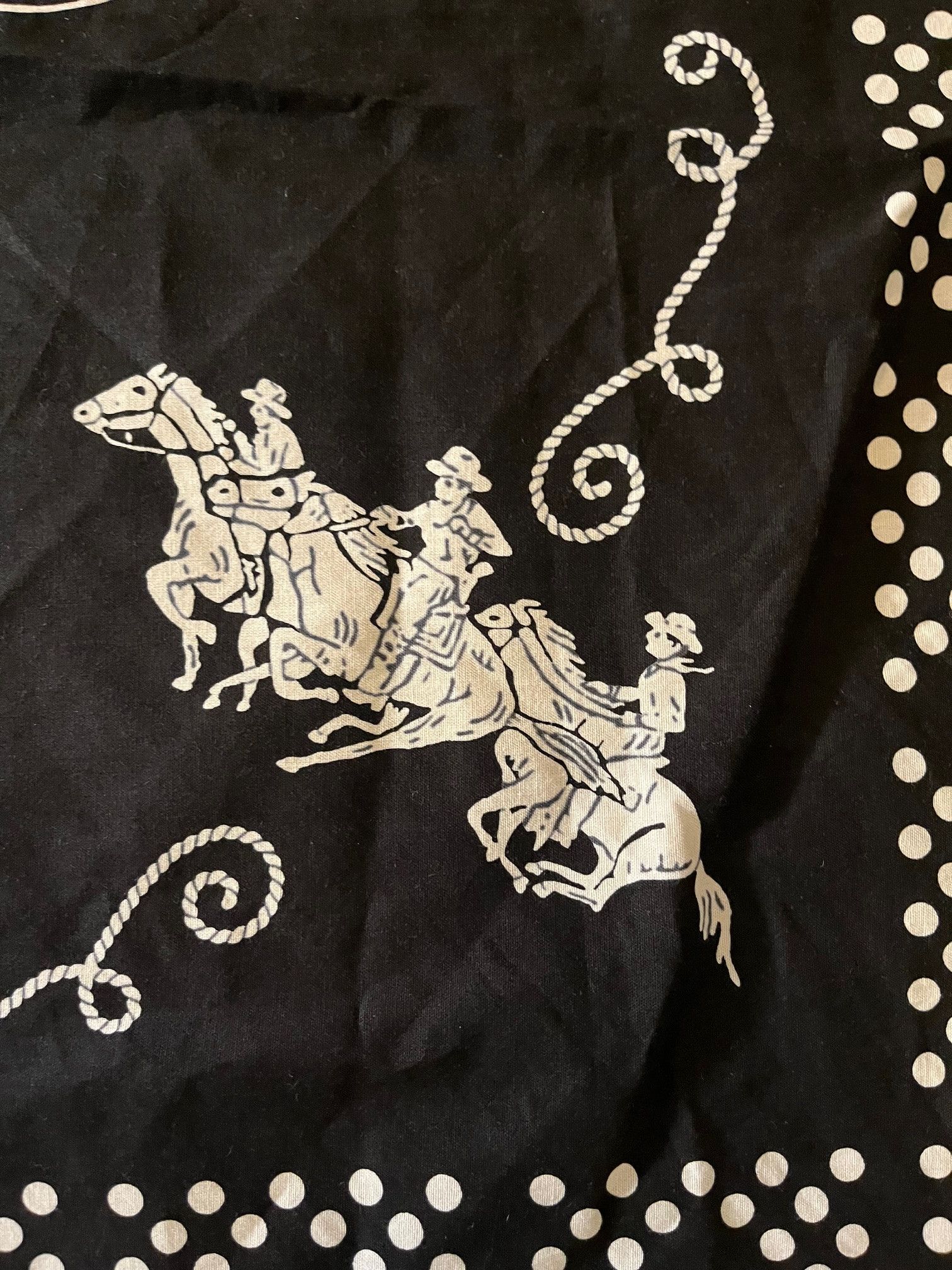 The Letters The Letters_Large Western Bandana Size ONE SIZE - 2 Thumbnail