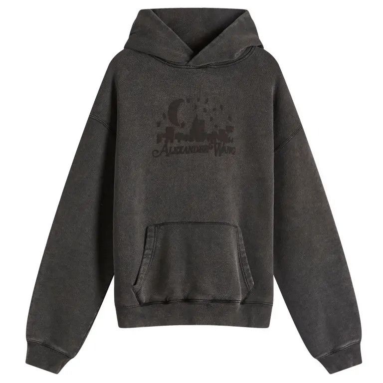 Alexander Wang o1s22i1n0225 Vintage Skyline Hoodie in Grey Size S / US 4 / IT 40 - 1 Thumbnail