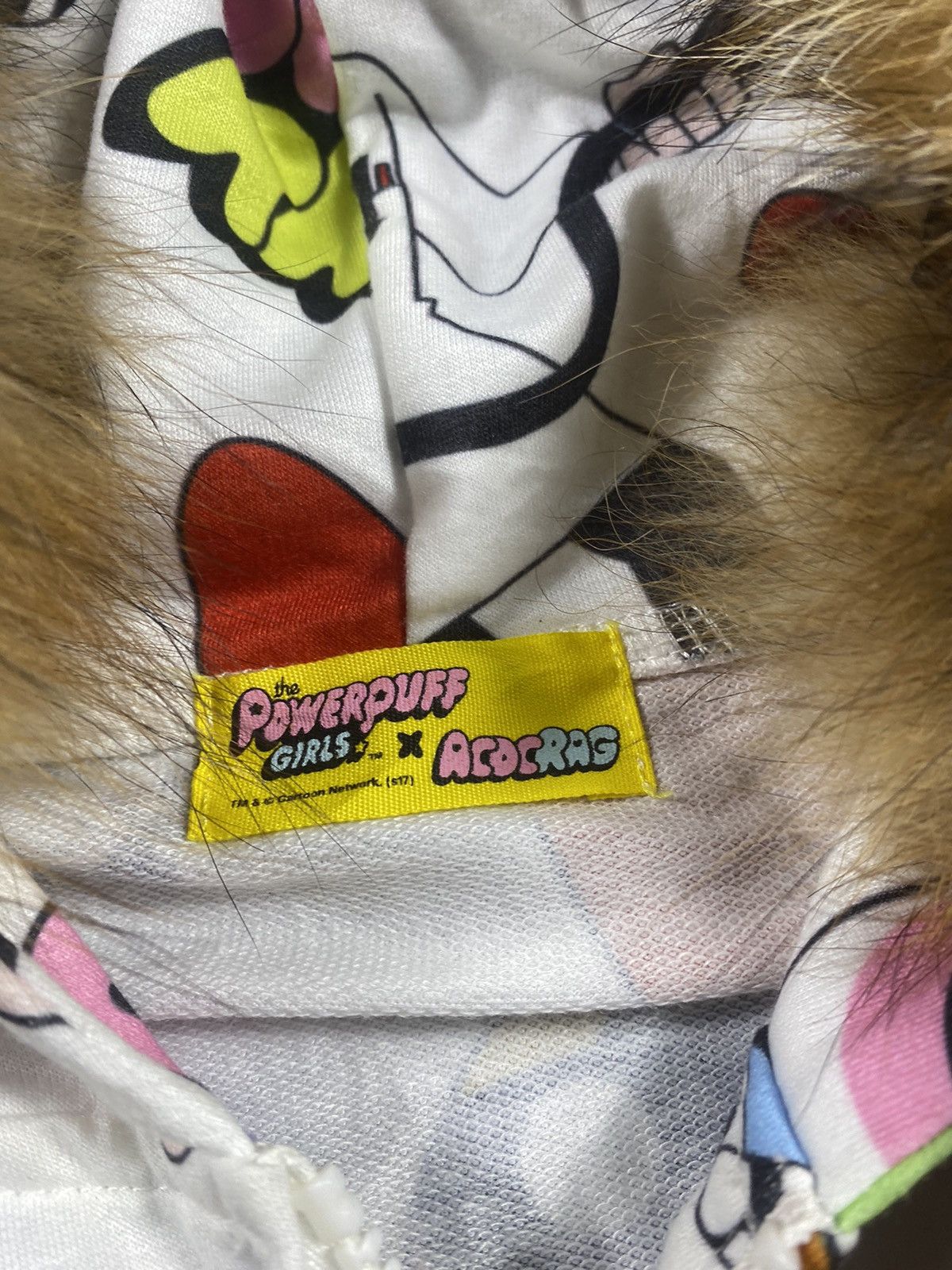 Cartoon Network Cartoon Powerpuff Girls X Acocrag full print zip fur hoodie Size US XL / EU 56 / 4 - 5 Thumbnail