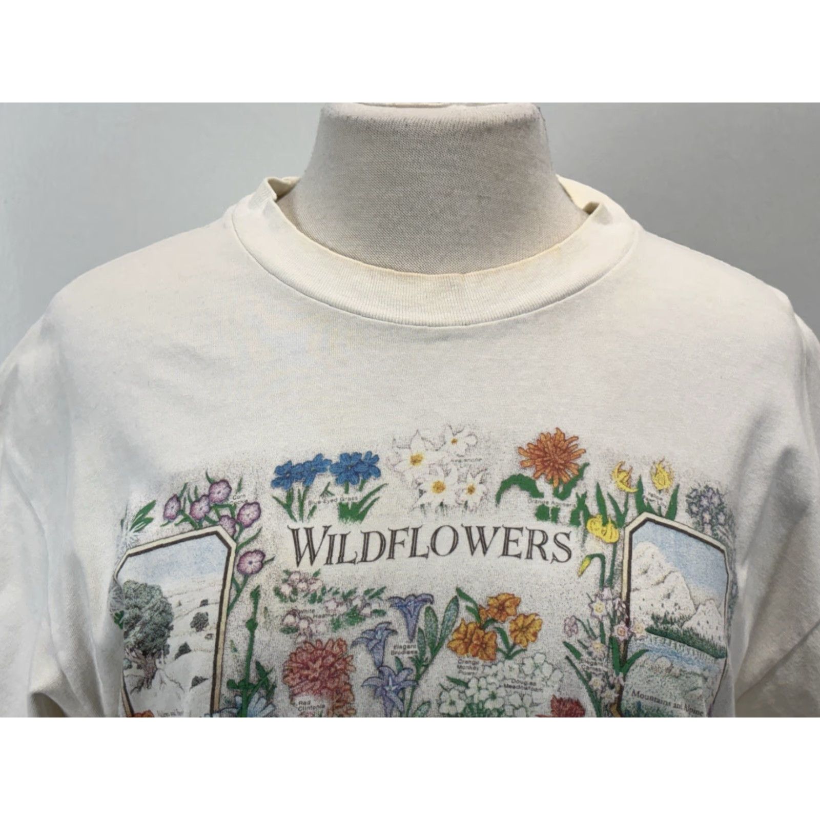 Hanes VINTAGE Hanes Beefy-T T-Shirt Large White Unisex Adults 90s Flowers Graphic Made USA Size US L / EU 52-54 / 3 - 5 Thumbnail