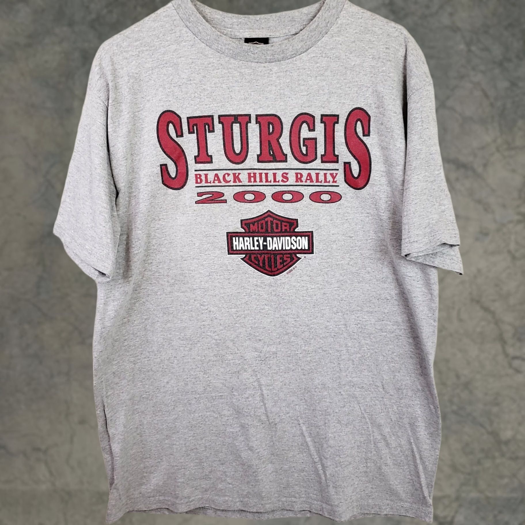 Harley Davidson VINTAGE Harley-Davidson T-Shirt Motorcycle Adult L Gray 2000 Sturgis Black Hills Rally Mens Size US L / EU 52-54 / 3 - 1 Thumbnail