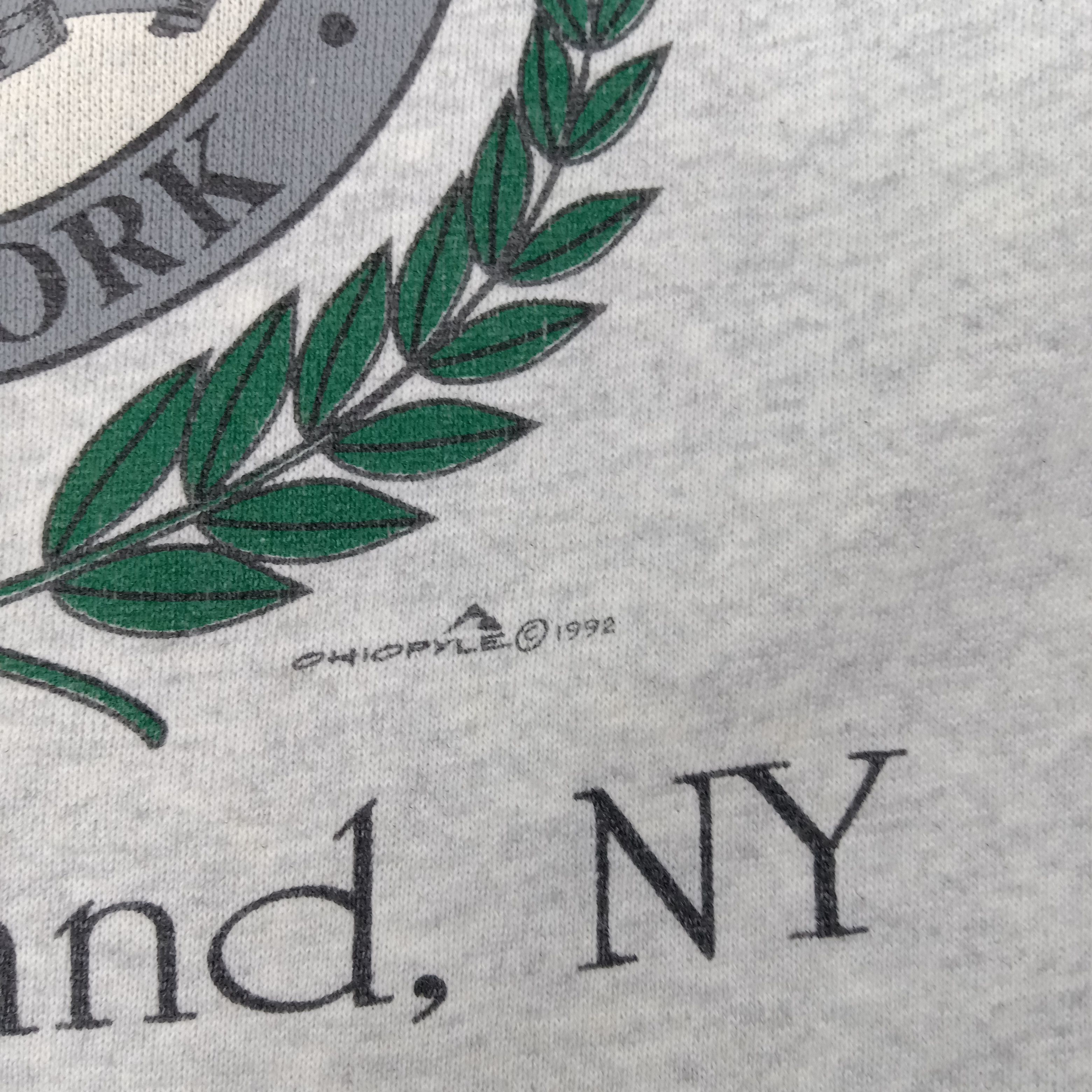 Massapequa New York American State Sweatshirt C257N5