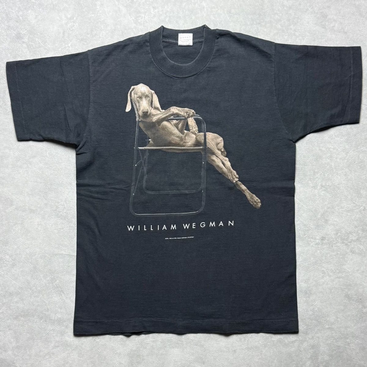 William Wegman T Shirt | Grailed