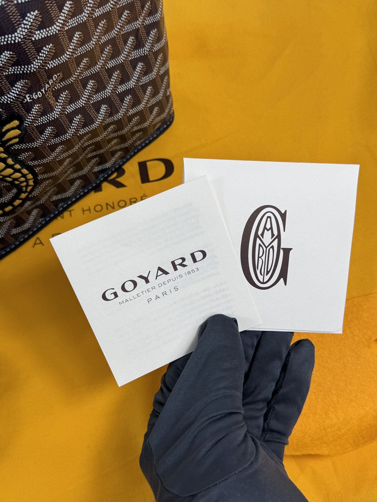 Goyard ANJOU PM SEAHORSE EMBROIDERY 2024 LIMITED EDITION BAG Size ONE SIZE - 16 Thumbnail