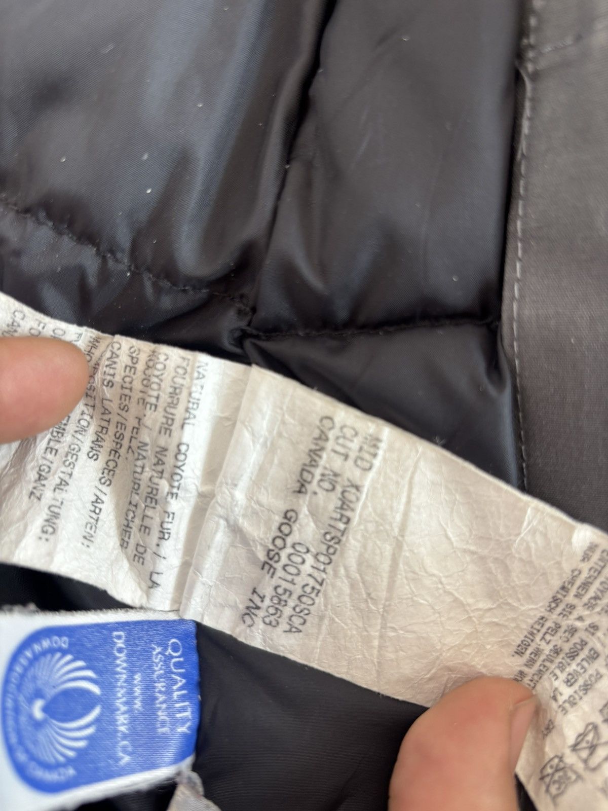 Canada Goose Canada Goose Kensington Parka Graphite Size US S / EU 44-46 / 1 - 23 Thumbnail