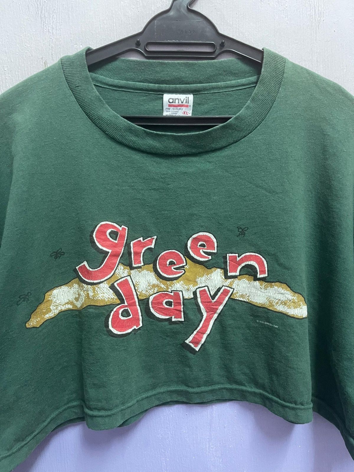 Band Tees Vintage 1995 Green Day Dookie Crop Tshirt Size US L / EU 52-54 / 3 - 8 Thumbnail
