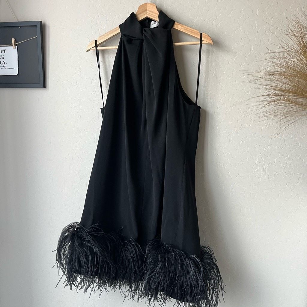 16Arlington 16Arlington Dress Feather Trim Black Cynthia Mini Dress Size Size L / US 10 / IT 46 - 3 Thumbnail