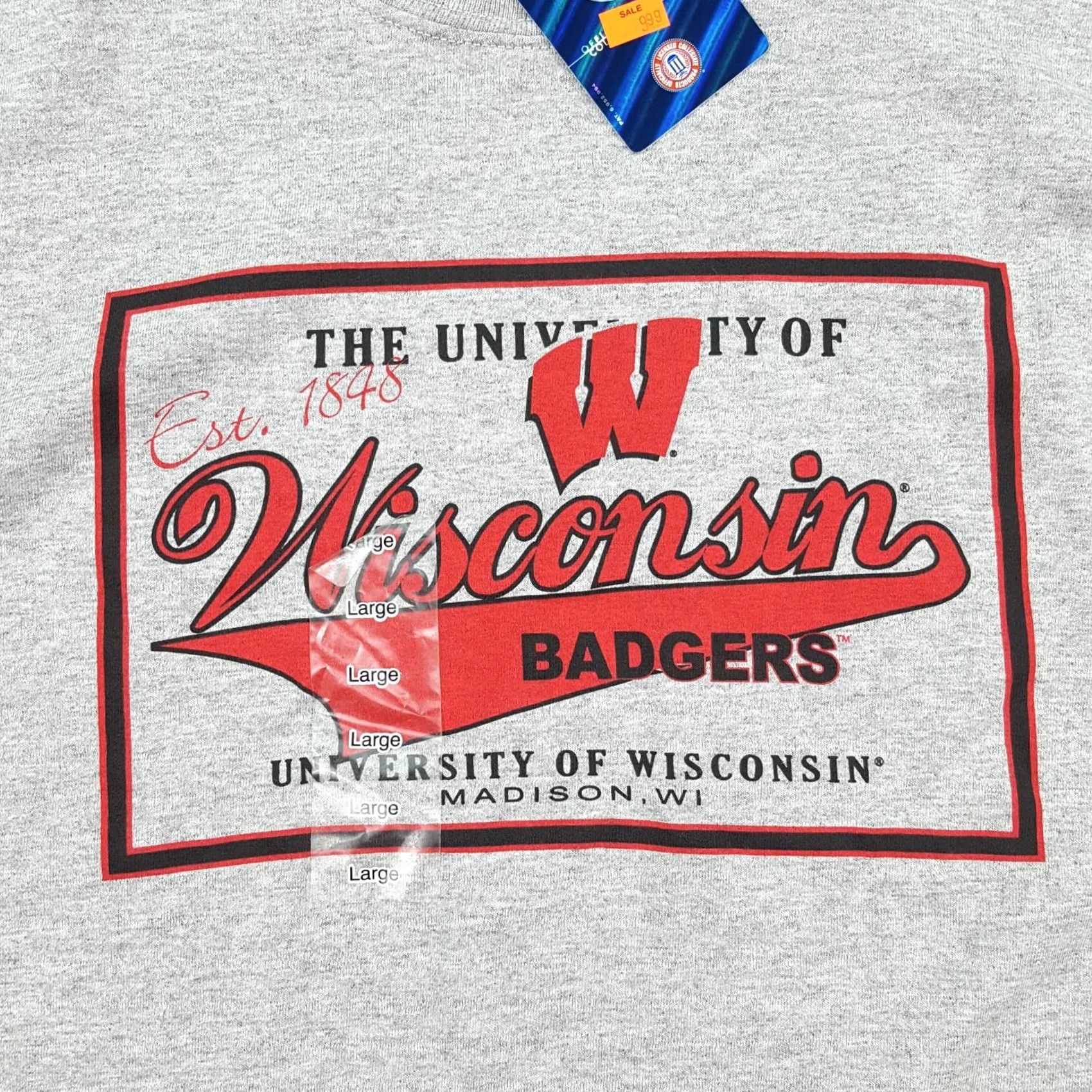 NCAA VINTAGE Wisconsin Badgers T-Shirt Mens Large Gray University NCAA College retro 90s athletic School Graphic Print Spike Sports Size US L / EU 52-54 / 3 - 3 Thumbnail