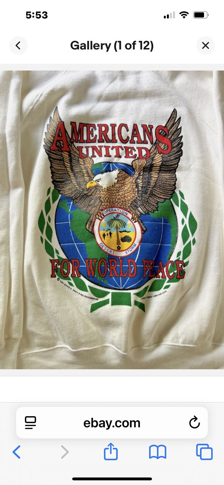 Hanes Operation Desert Storm Americans United Sweatshirt Size L Size US L / EU 52-54 / 3 - 1 Thumbnail
