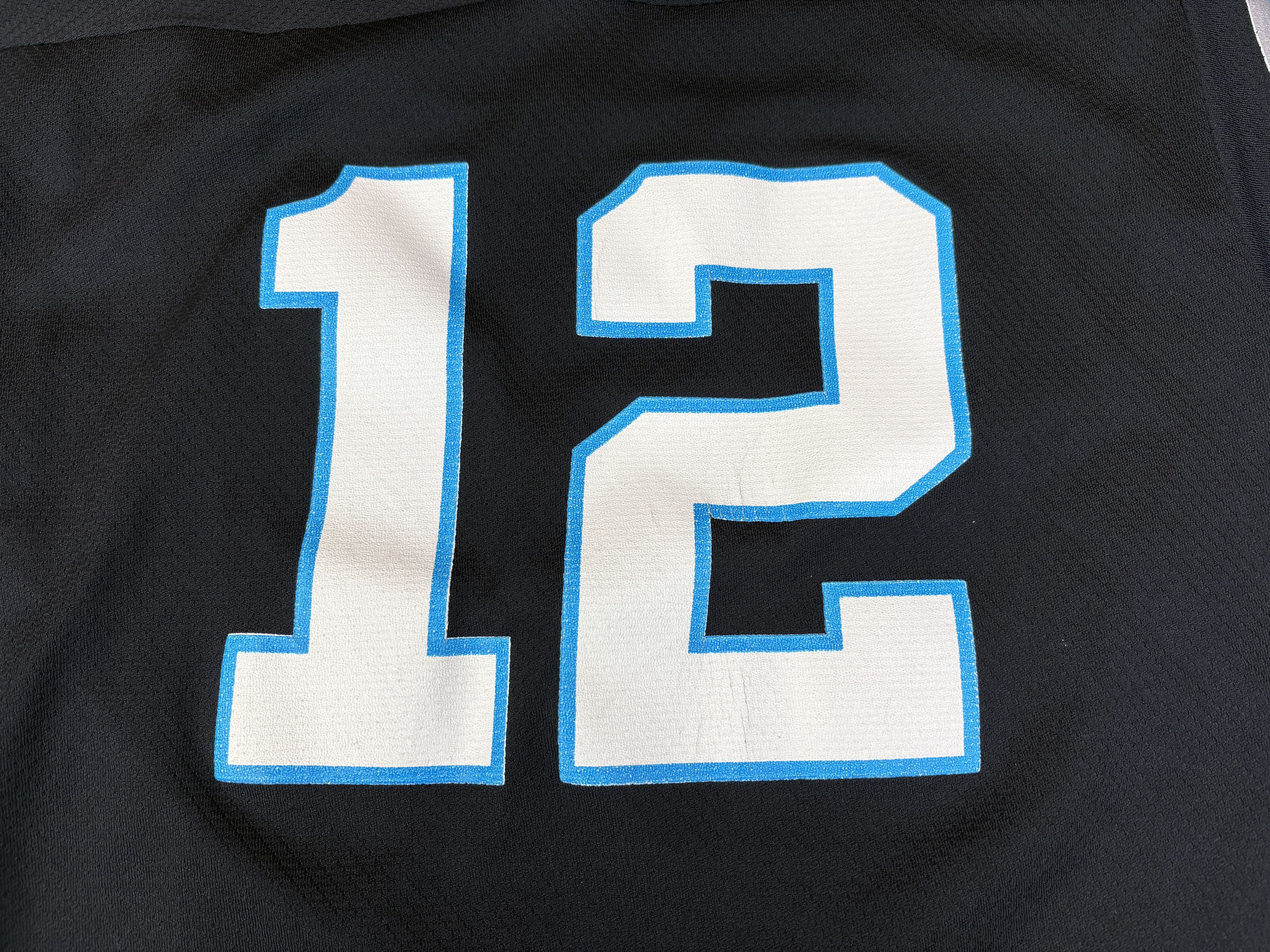 NFL Logo 7 Carolina Panthers Kerry Collins #12 NFL Jersey Size US L / EU 52-54 / 3 - 7 Thumbnail