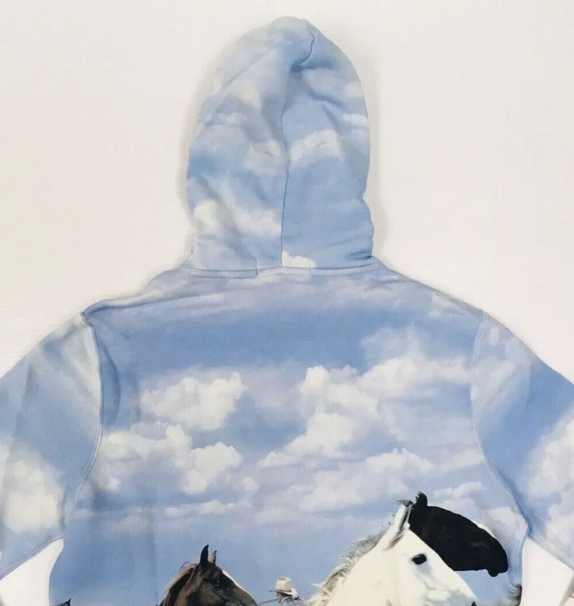 Polo Ralph Lauren Polo Sport Ralph Lauren "Wild Horses" Hoodie Size US M / EU 48-50 / 2 - 6 Thumbnail