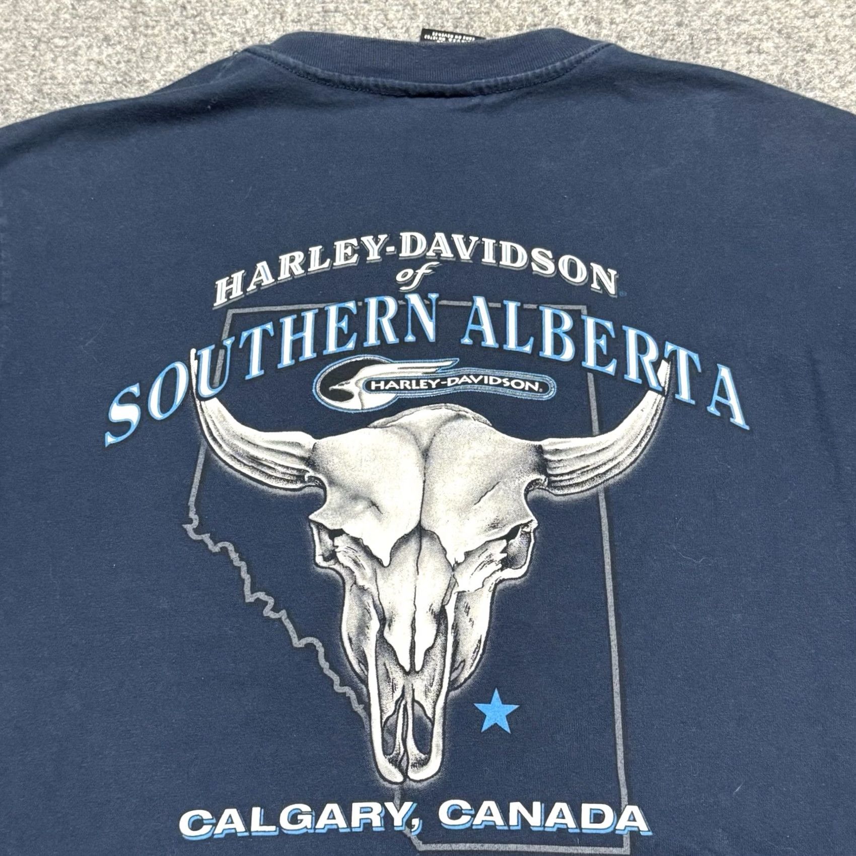 Harley Davidson Harley-Davidson Shirt Mens L Blue Alberta Canada Skull 1997 VTG 90s USA Hanes Beefy-T Size US L / EU 52-54 / 3 - 2 Thumbnail