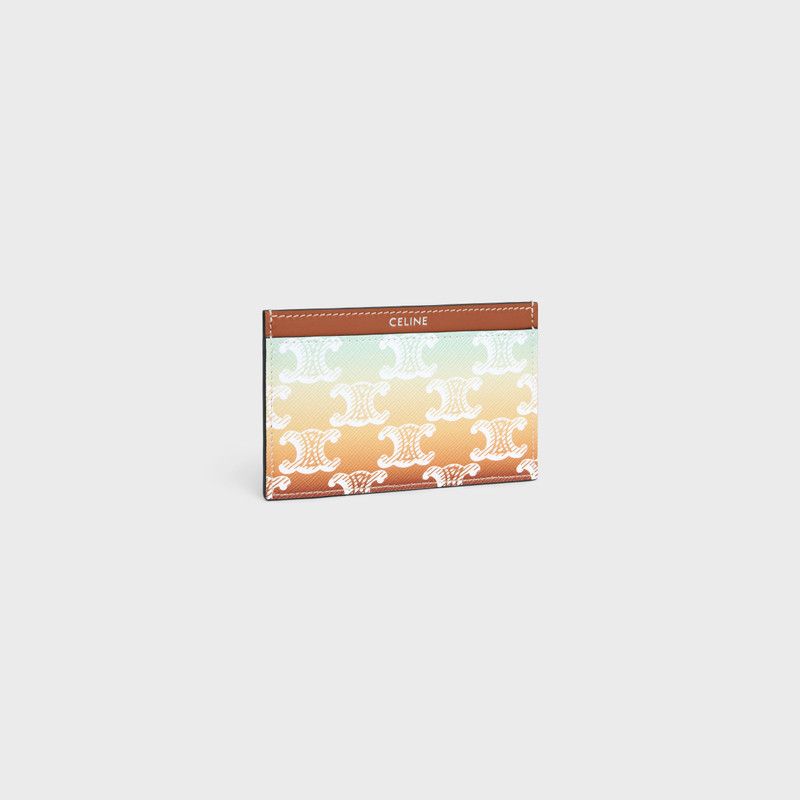 Celine o1bcso1str0126 10B702GE2 Size: OS / Card Holder Multicolor Size ONE SIZE - 2 Thumbnail