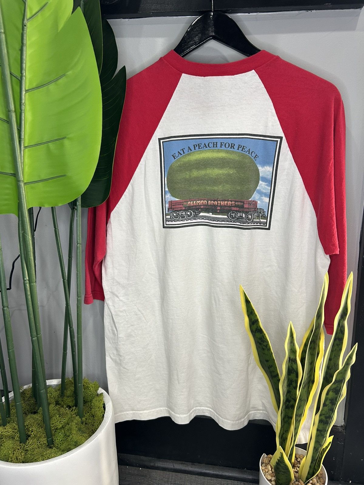 Band Tees × Vintage Vintage Allman Brothers Band Shirt Size US L / EU 52-54 / 3 - 2 Thumbnail