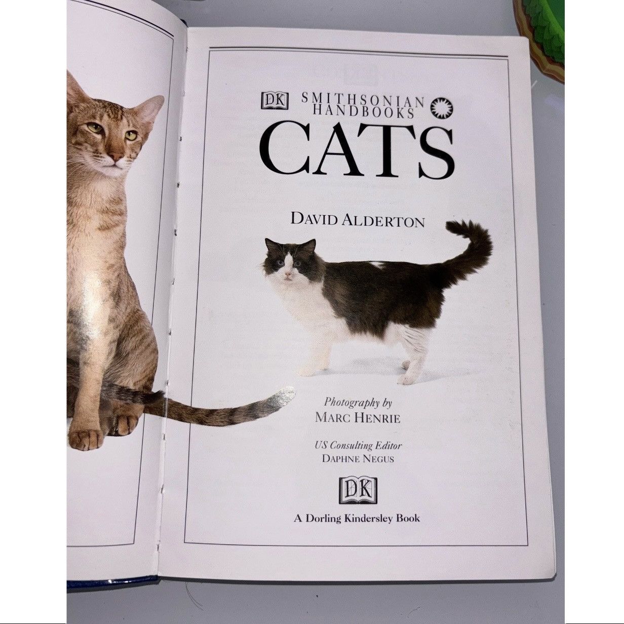 Other × Vintage SMITHSONIAN HANDBOOK OF CATS DK Publishing Illustrated Cats Size ONE SIZE - 7 Thumbnail