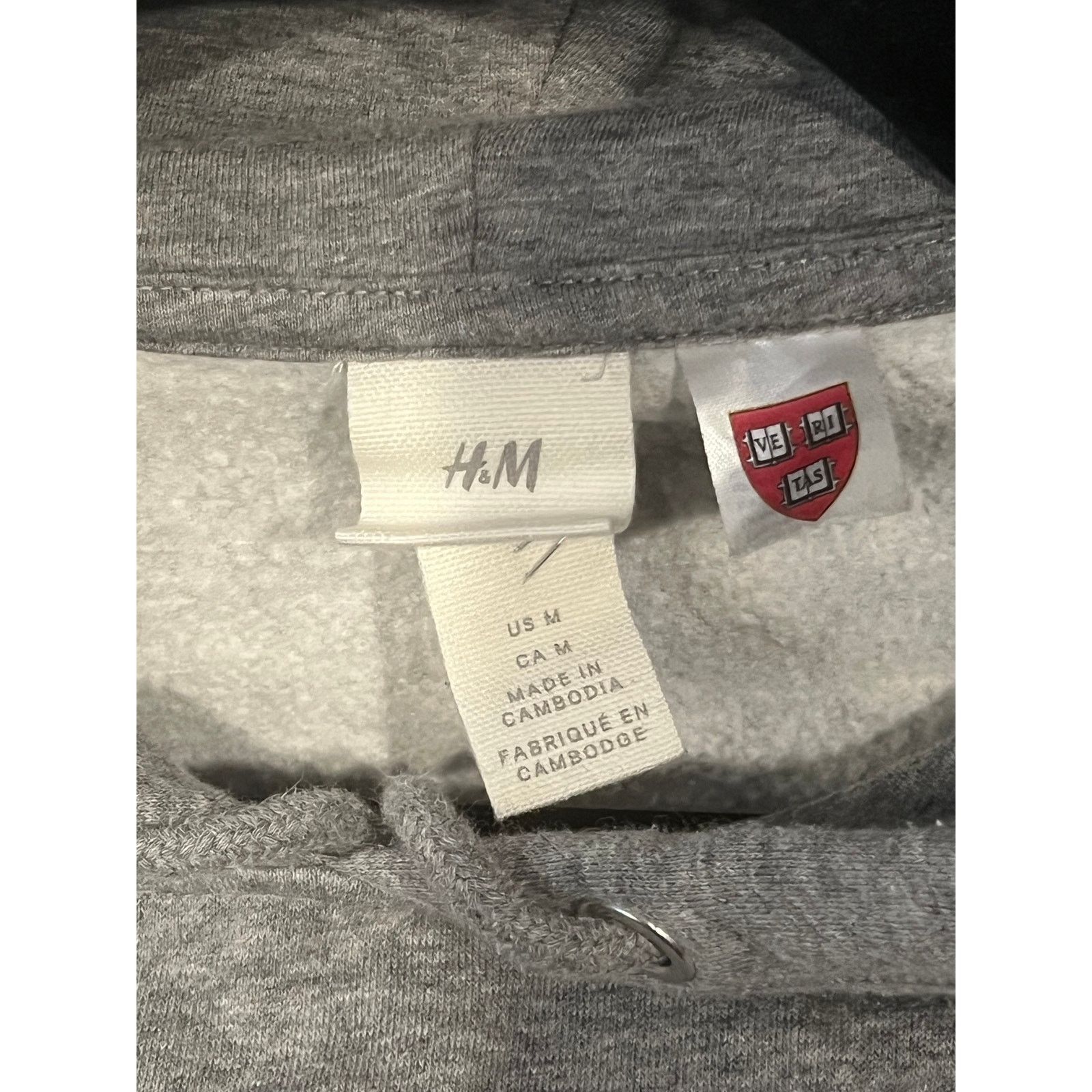 H&M H&M + Harvard Pullover Gray Hoodie Mens Medium Size US M / EU 48-50 / 2 - 3 Thumbnail