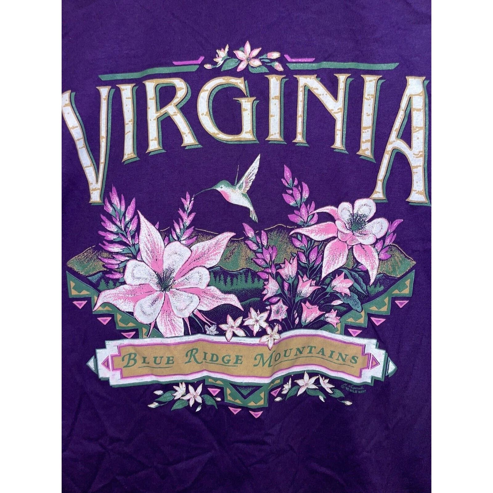 Jerzees Vintage Test Print Shirt Virginia Santa Fe Tee VTG 90s M Size US M / EU 48-50 / 2 - 2 Thumbnail