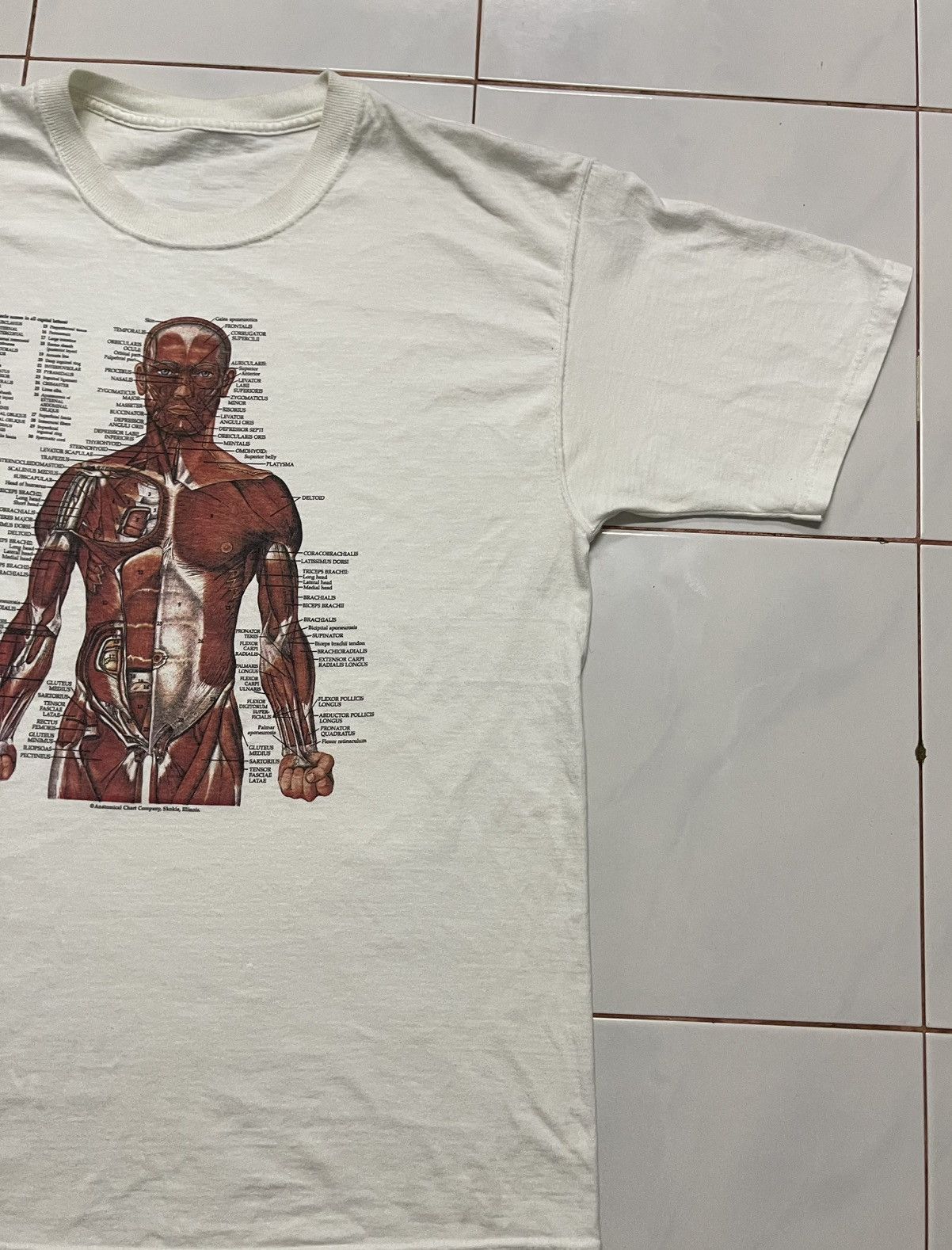 Fruit Of The Loom VINTAGE KURT COBAIN ANATOMICAL HUMAN SHIRT Size US L / EU 52-54 / 3 - 3 Thumbnail