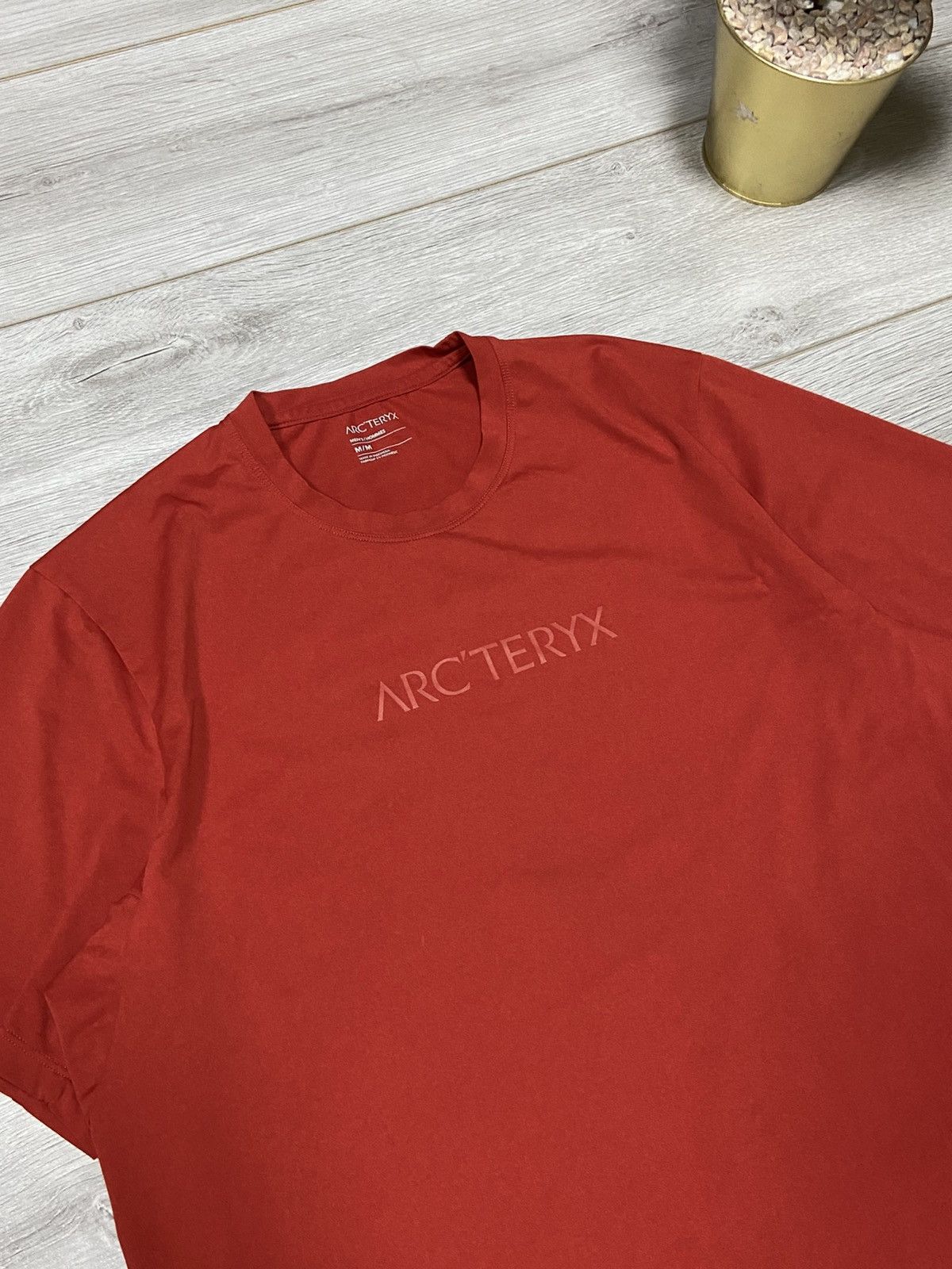 Arc'teryx Arcteryx vintage bird logo t-shirt spell out bird Size US M / EU 48-50 / 2 - 3 Thumbnail