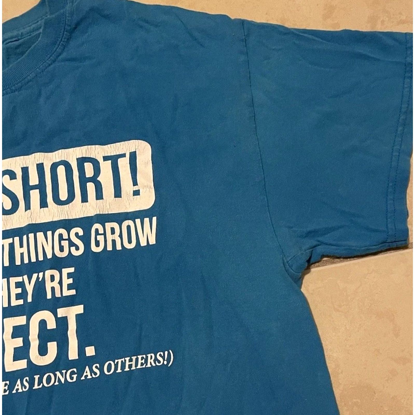 Vintage VINTAGE I’m Not Short Im Perfect Faded Shirt S Funny Saying Joke Humor Grunge Y2K 90s Shirt Mens Small Blue Sarcasm Size US S / EU 44-46 / 1 - 6 Thumbnail