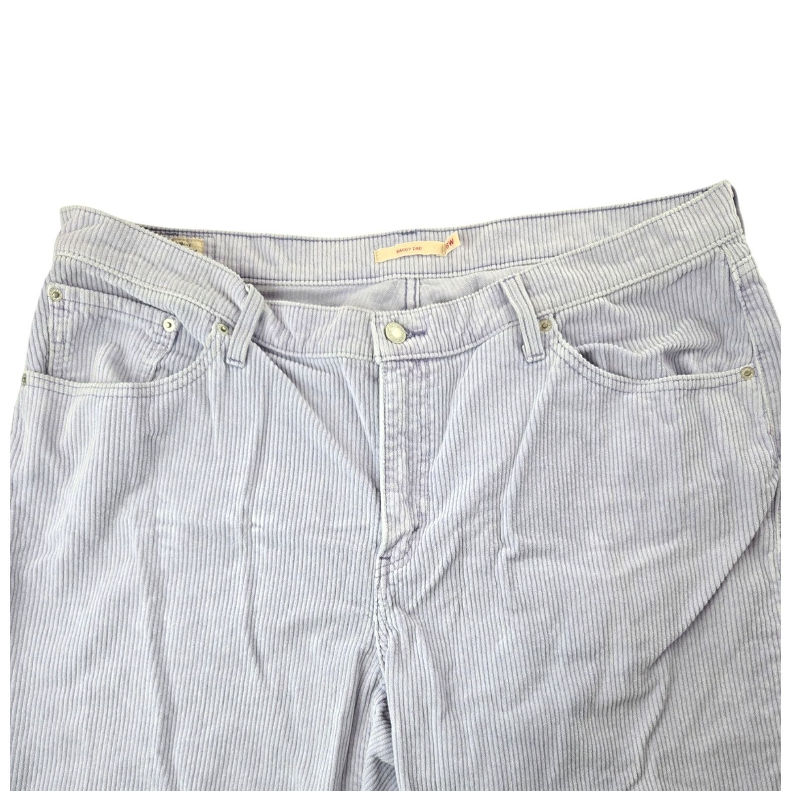 Levi's Levi's | Blue Baggy Dad Cords | Size 18W Size 40" / US 18 - 2 Thumbnail