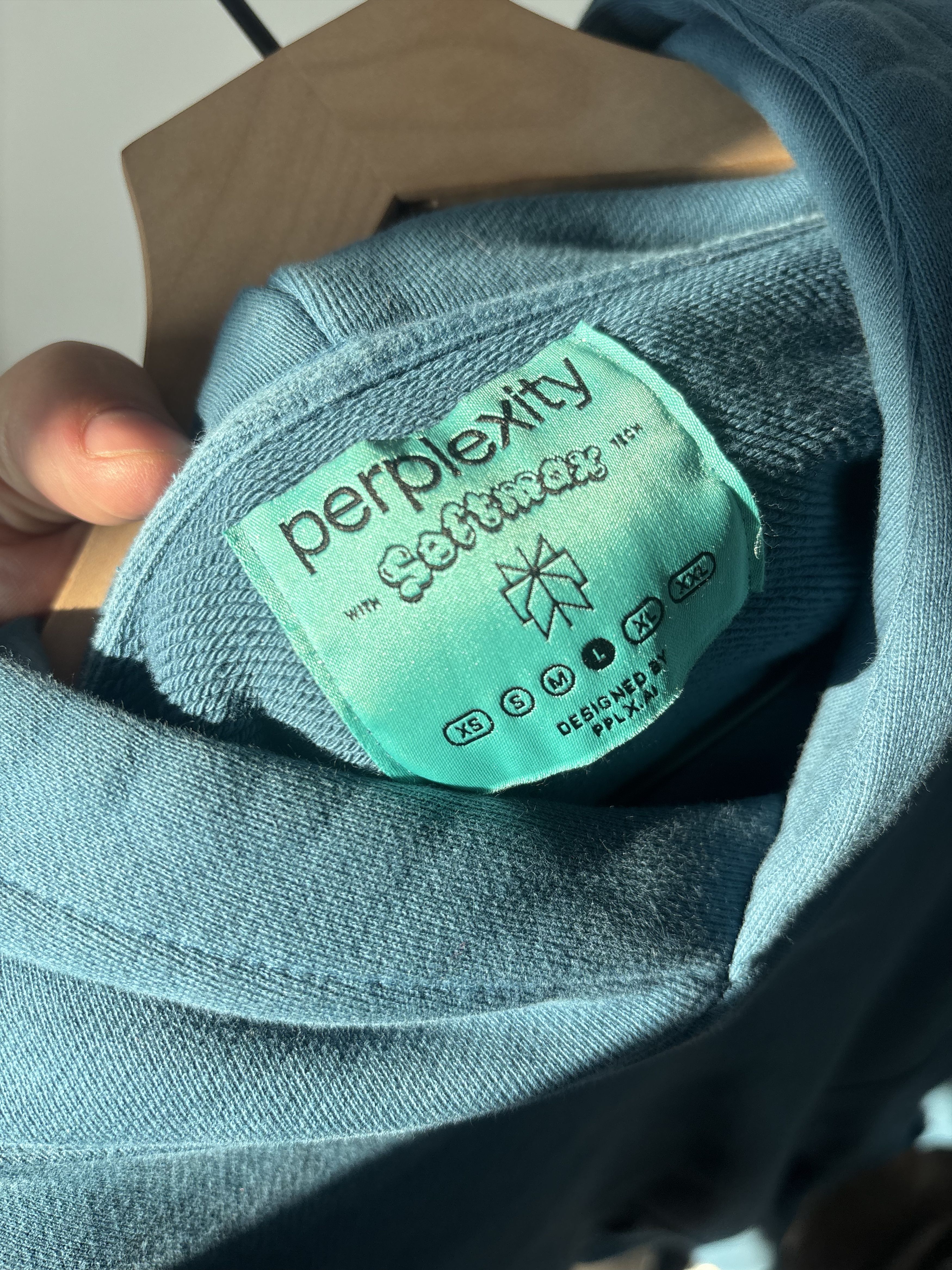 Other Perplexity AI Know It All Hoodie Rare AI Merch Teal Large Size US L / EU 52-54 / 3 - 3 Thumbnail