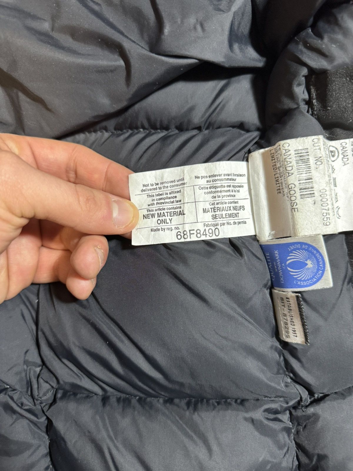 Canada Goose × Japanese Brand × Vintage Canada goose Expedition Parka small with Coyote Fur Size US S / EU 44-46 / 1 - 16 Thumbnail