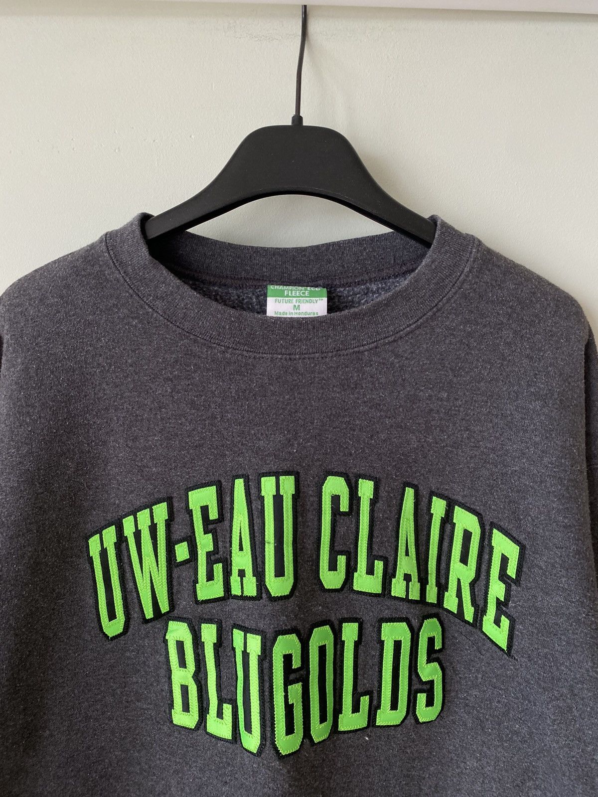 Champion × NFL × Vintage Vintage Champion Uw Eau Claire Blugolds football sweatshirt Size US M / EU 48-50 / 2 - 3 Thumbnail