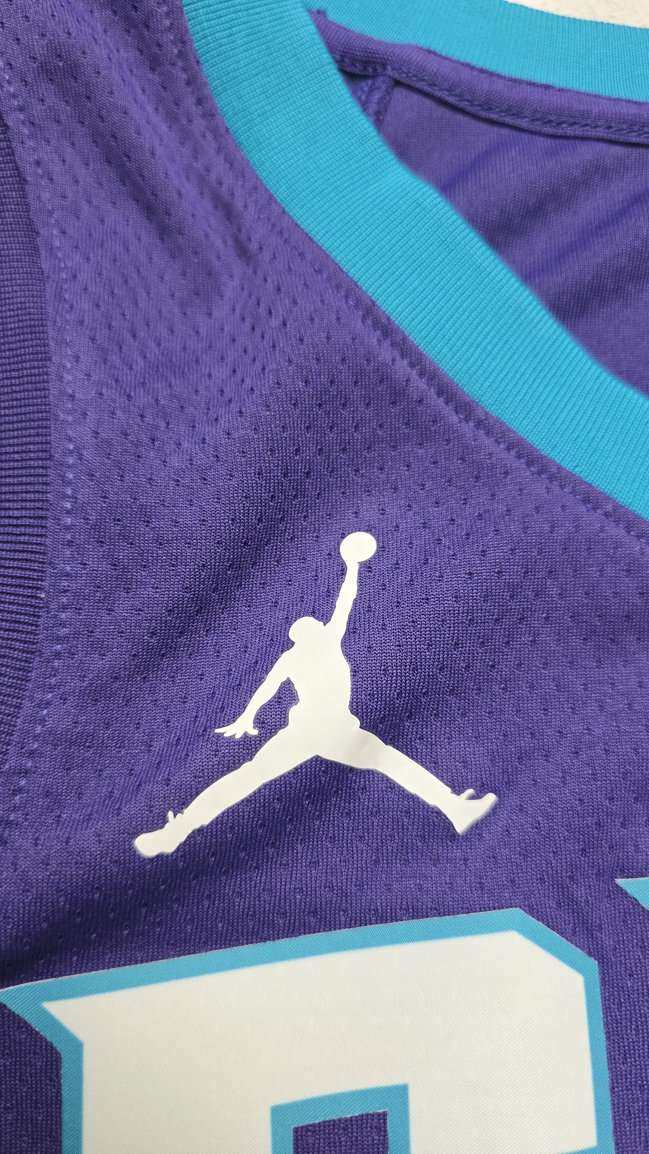 Nike Charlotte Hornets Jordan Brand Statement Swingman Jersey Size US L / EU 52-54 / 3 - 7 Thumbnail