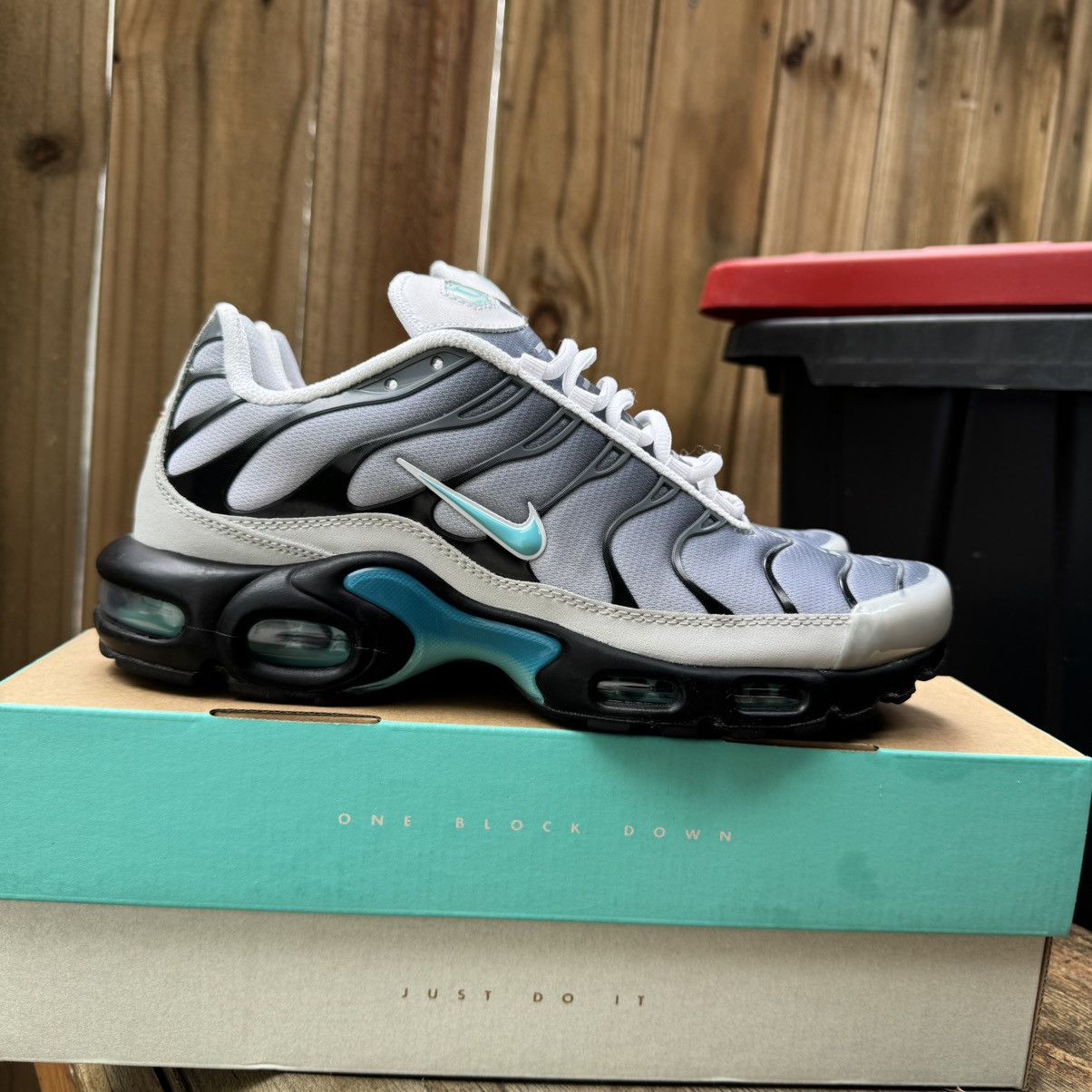Air Max Plus One Block Down
