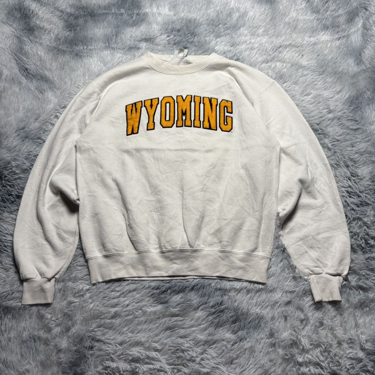 Champion Champion Eco Fleece Wyoming Sweatshirt Size M Size US M / EU 48-50 / 2 - 1 Thumbnail