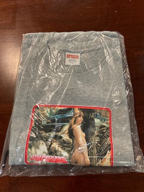 Supreme Supreme Heather Gray Larry Clark Girl Tee Large (SS2017) DS Size US L / EU 52-54 / 3 - 1 Thumbnail