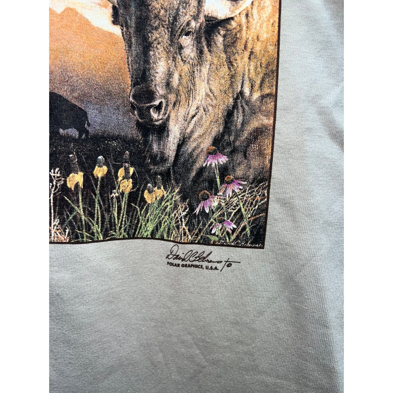 Anvil Vintage Native American Shirt Keeper Of The Plains Brown Tee Size US S / EU 44-46 / 1 - 4 Thumbnail