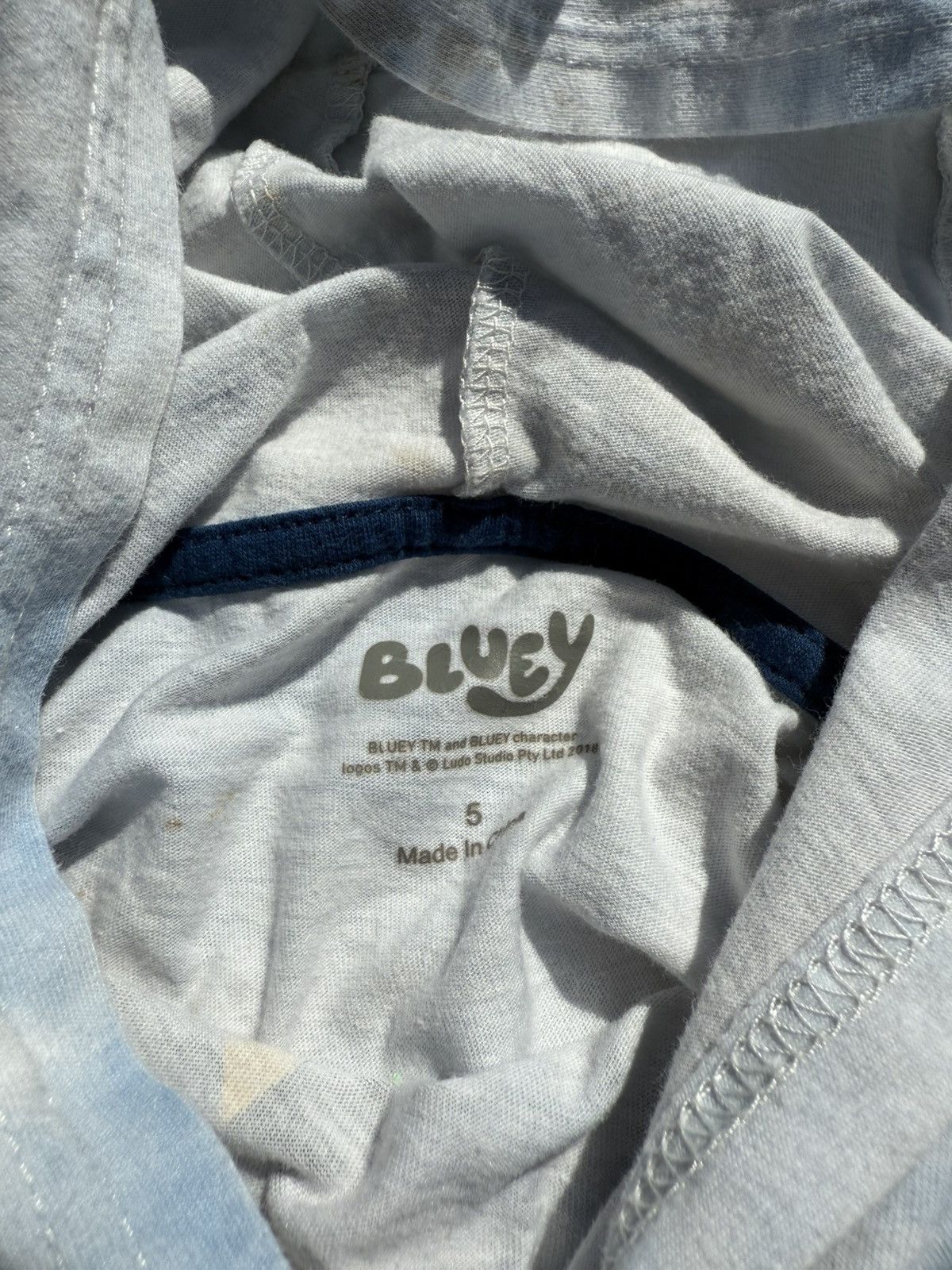 Other Kids BLUEY Hoodie Shirt - Blue Size US XXS / EU 40 - 2 Thumbnail