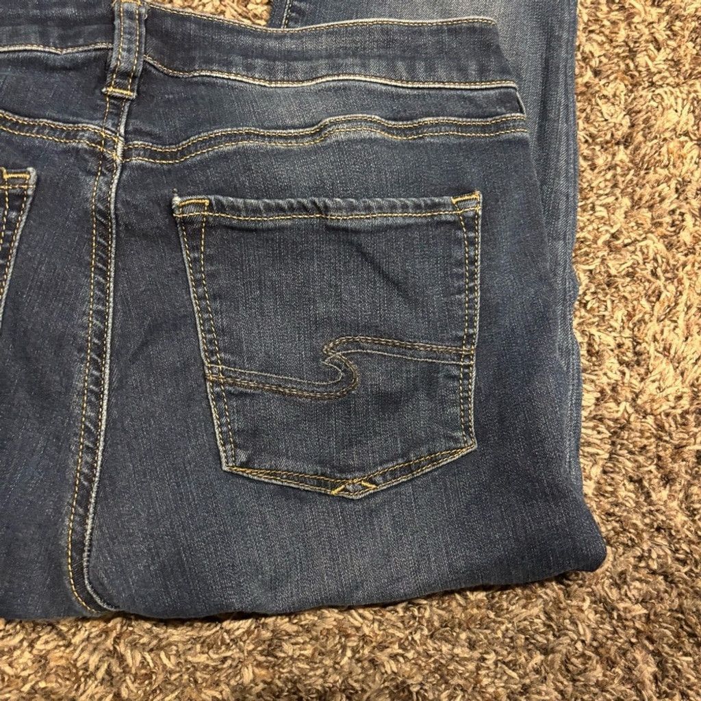 Silver Jeans Co. Silver Jeans Women's Bleeker Skinny Jeans Size 29" - 2 Thumbnail