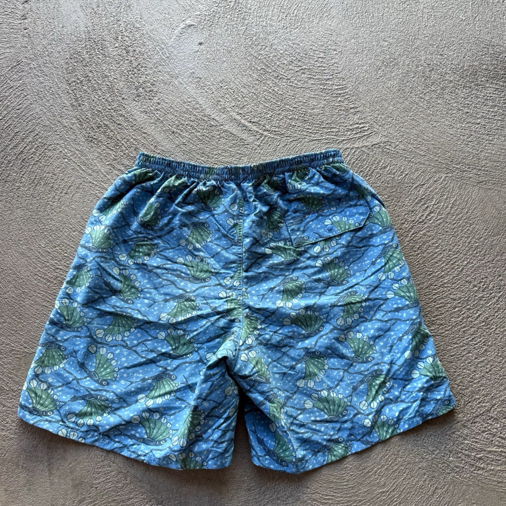 Patagonia Patagonia Mens Small Blue Baggies Shorts Ocean Swim Trunks Outdoor Lined Size US 29 - 3 Thumbnail