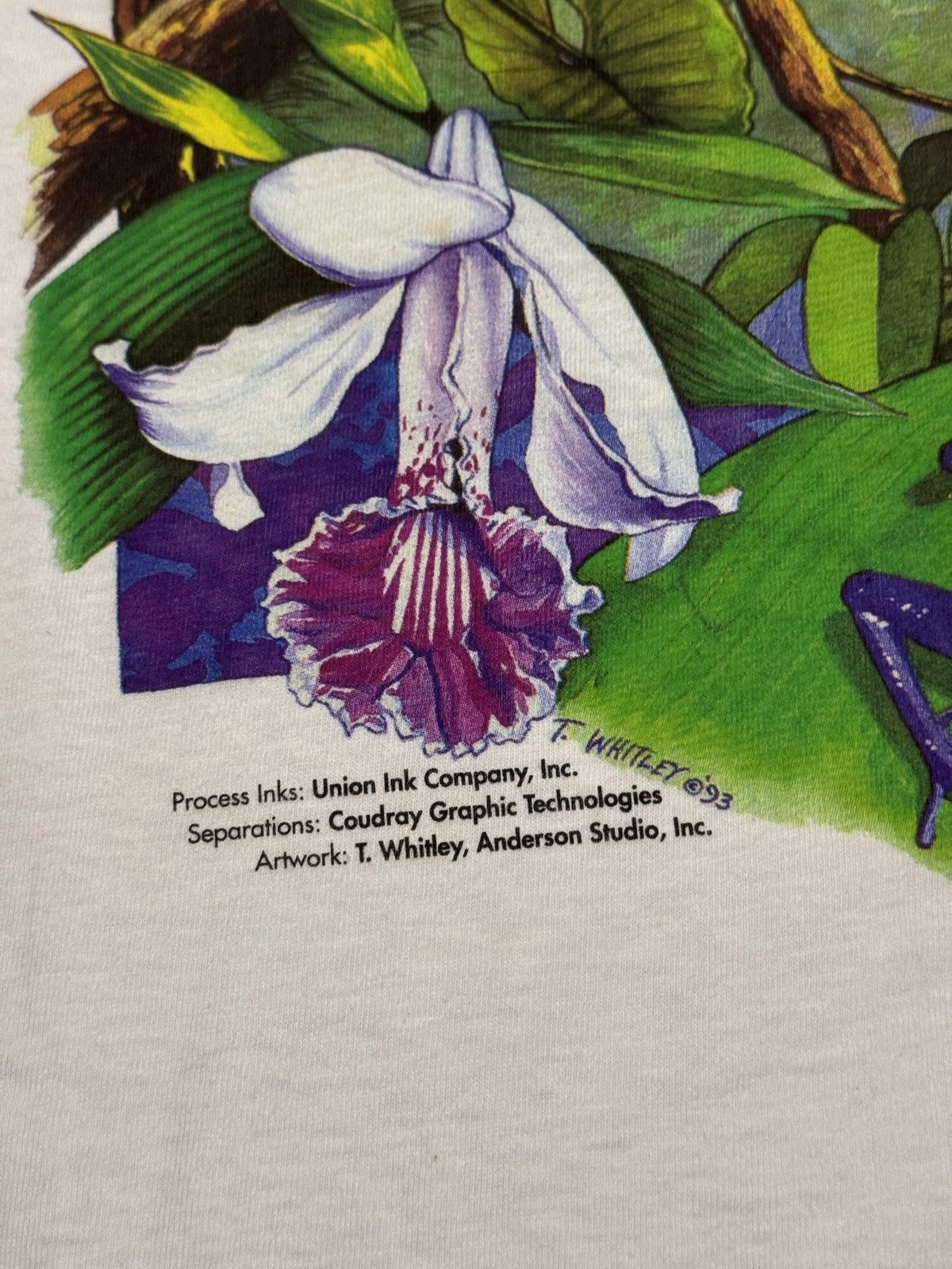 Vintage Rainbow Rain Forest Vintage Tropical Animal Print T Shirt Size US XL / EU 56 / 4 - 3 Thumbnail