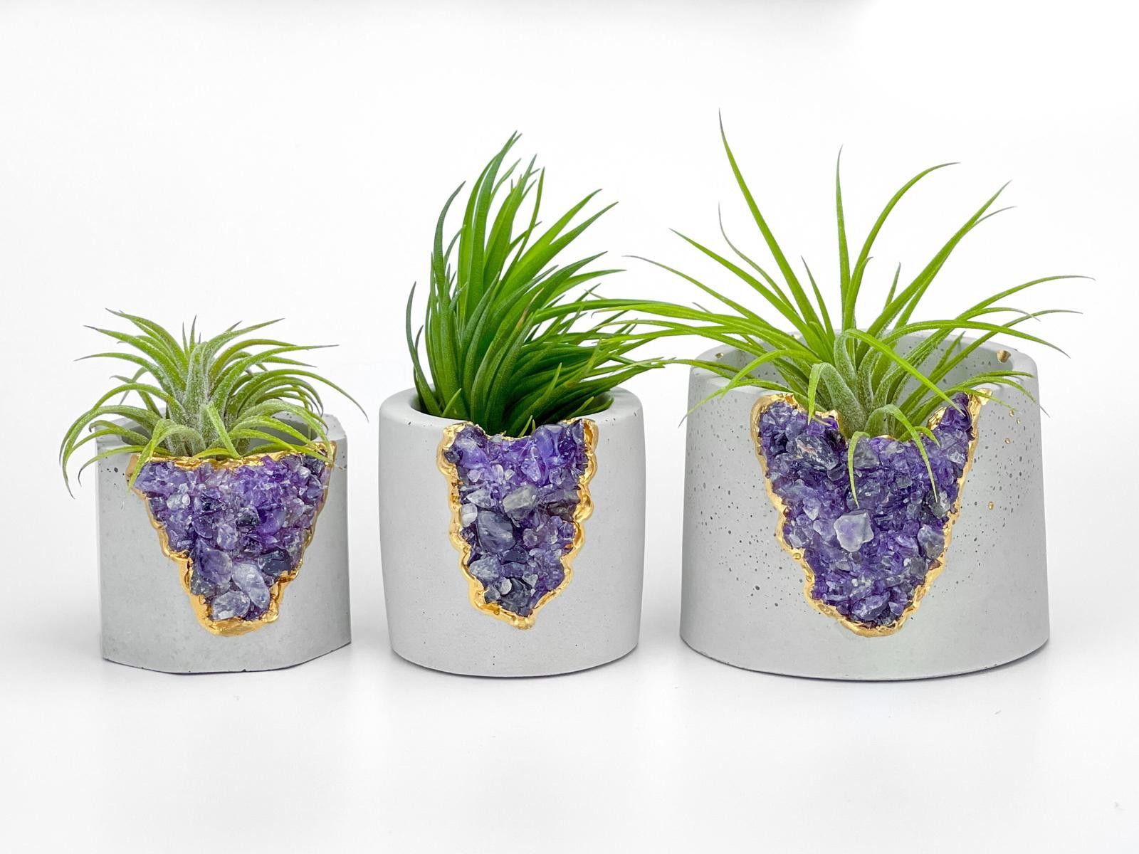 Other Purple Small Air Plant Holder Display Stand Fern Tillandsia Size ONE SIZE - 9 Thumbnail