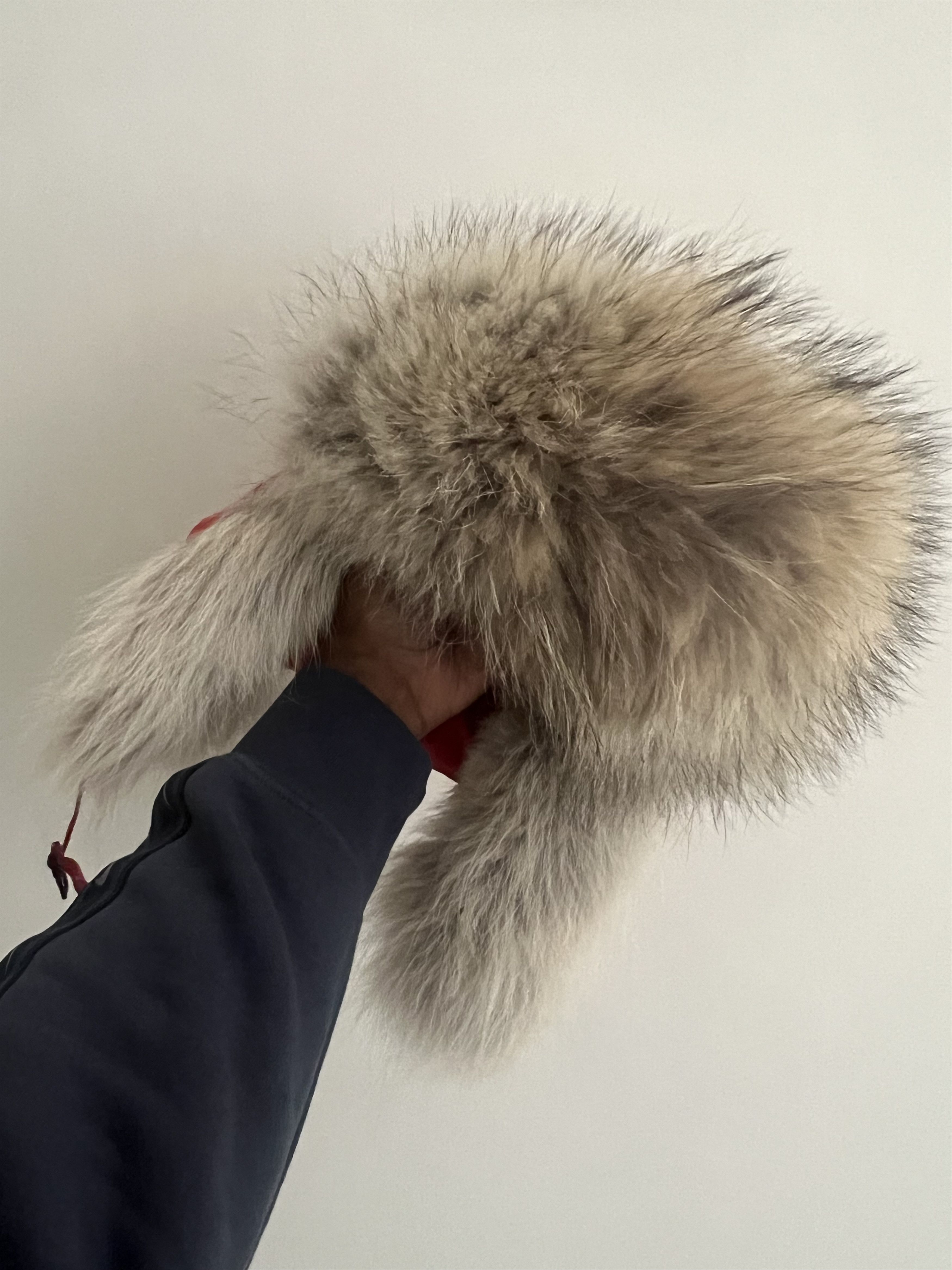 Canada Goose Canada goose fur hat size (L/XL) Size ONE SIZE - 2 Thumbnail