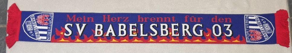 Other SV Babelsberg 03 scarf Size ONE SIZE - 5 Thumbnail