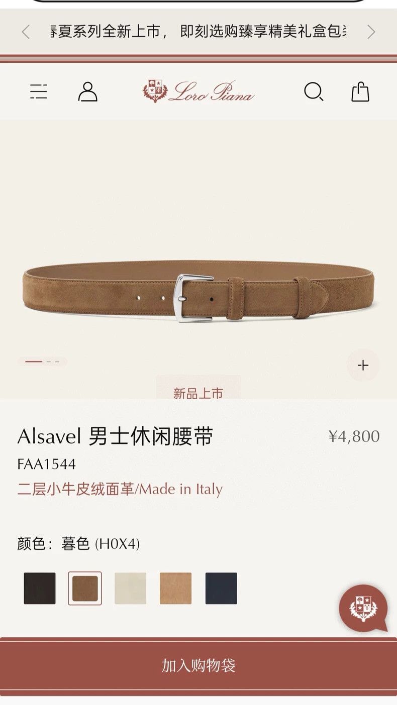 Loro Piana LORO PIANA Leisure belt Size ONE SIZE - 1 Thumbnail